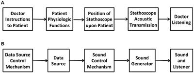 Interactive Sonification Exploring Emergent Behavior Applying Models for Biological Information and Listening